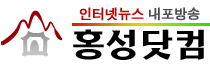 홍성닷컴 메인 링크